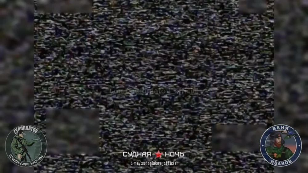 ���� �� �������: � ���������������� ������� FPV-������ "��-40" ���������� �������� ��� Ground Observer 12 (GO 12) �� Thales Group