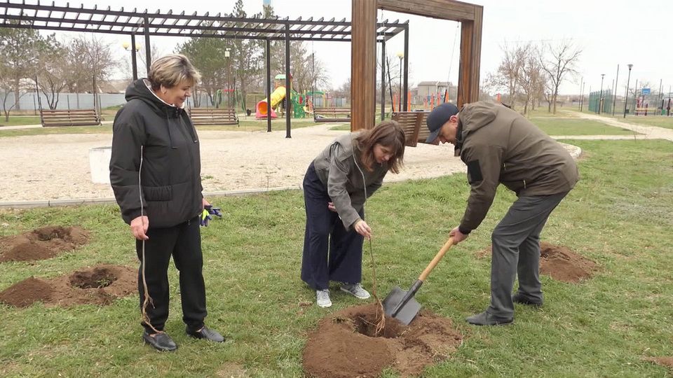 ������ ���������� ���������� ����� ���� ������