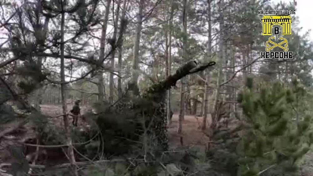 �� ���������� �����������, ��� ����������� ������ �� ������ ������ ������, ���� ������������ �� 18-� ����� ���������� ���������� �� ������� �-30