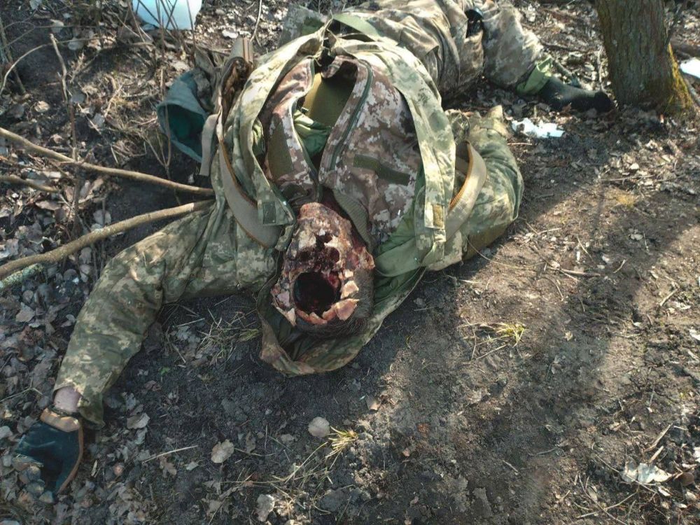 ������ 18+. ��� � ������� �������