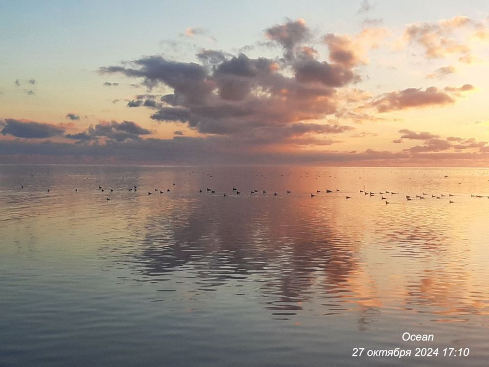 � ������ ������������ �������� �����, ��������� �������� ����������, ��������� ����������� ����������� �������������� ������