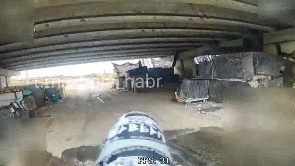 "���� ������" AND "����" ���������� �������� ������ ��� ����������� ������