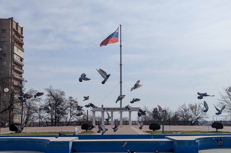 ��� ���� � �������: ��� ���������� ����� � ����������