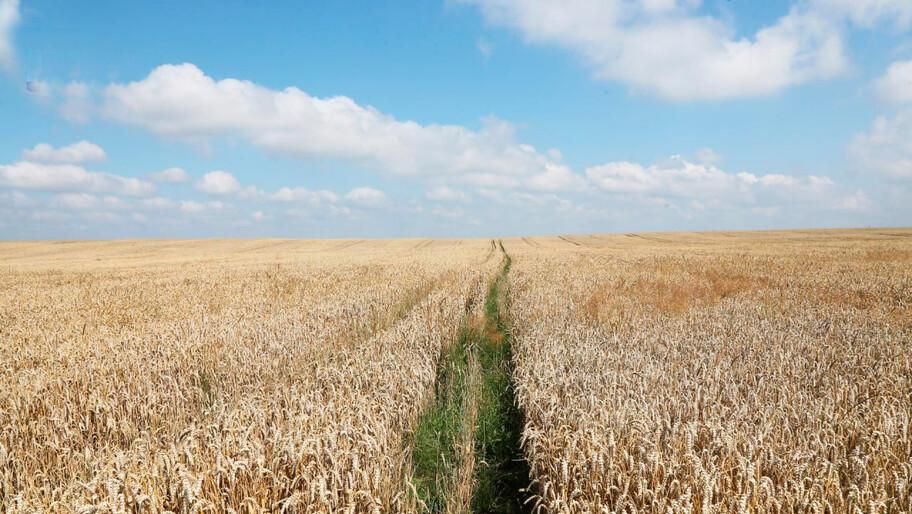 ������� ���������� ������� � ������ �������� ��� ������� ����� 65 ���