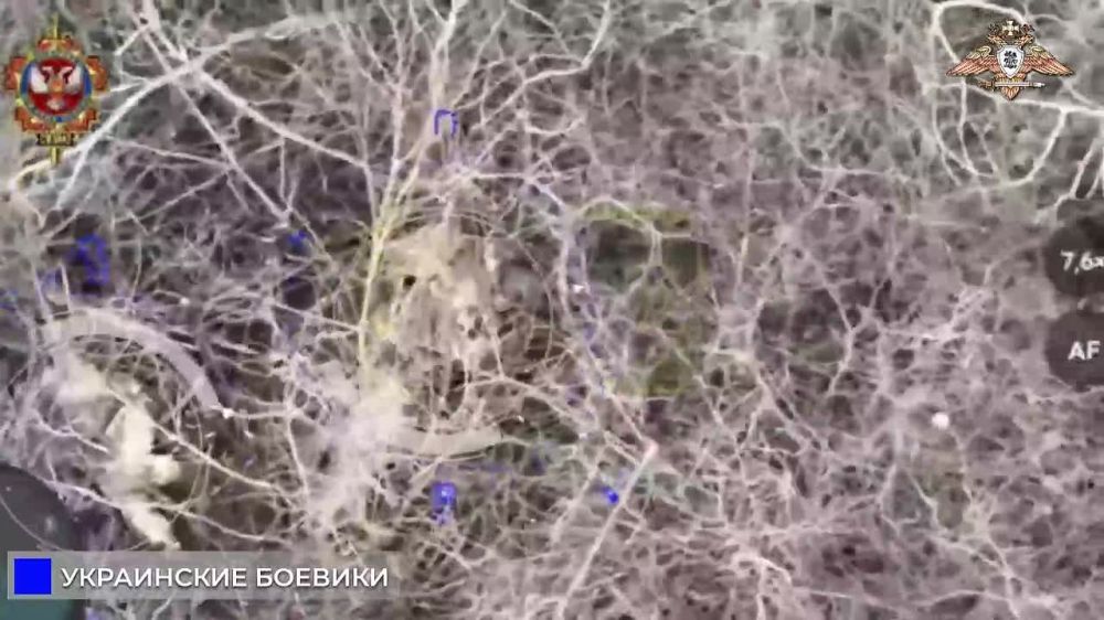 ������� ���, �������� �� �������� ������������, ���� ������ ���������� � ���������� ����������� ������ ���������� ������������ ������ ������������ ���������� "�������" 51 ������������� ����� �� ��. � ������� ������ �������...