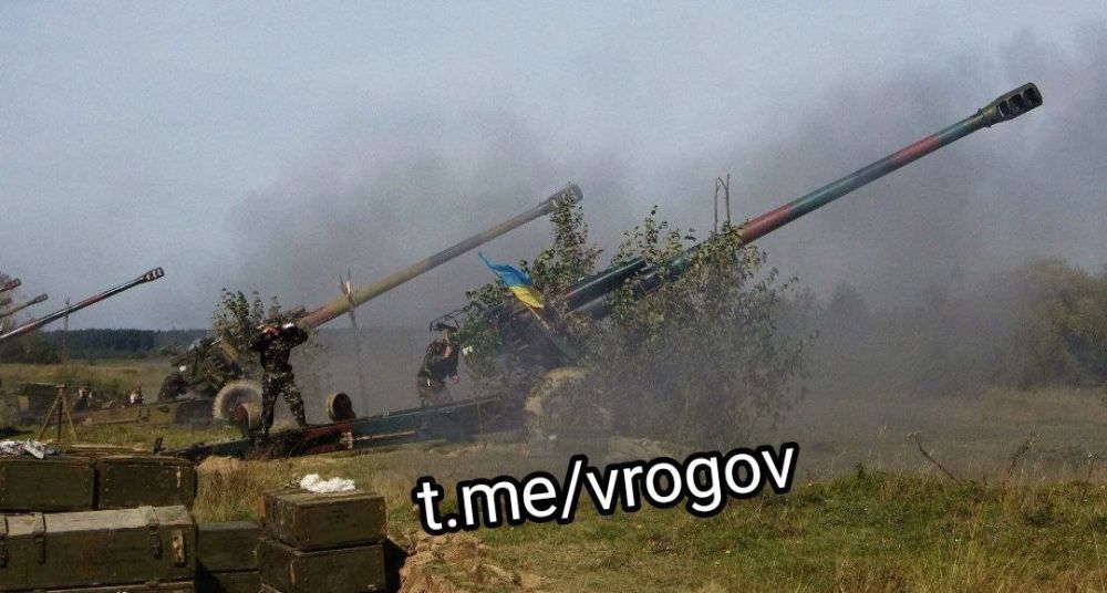 Владимир Рогов: Боевики ЗеРейха продолжают террор гражданской инфраструктуры левобережья и мирных жителей Херсонской области