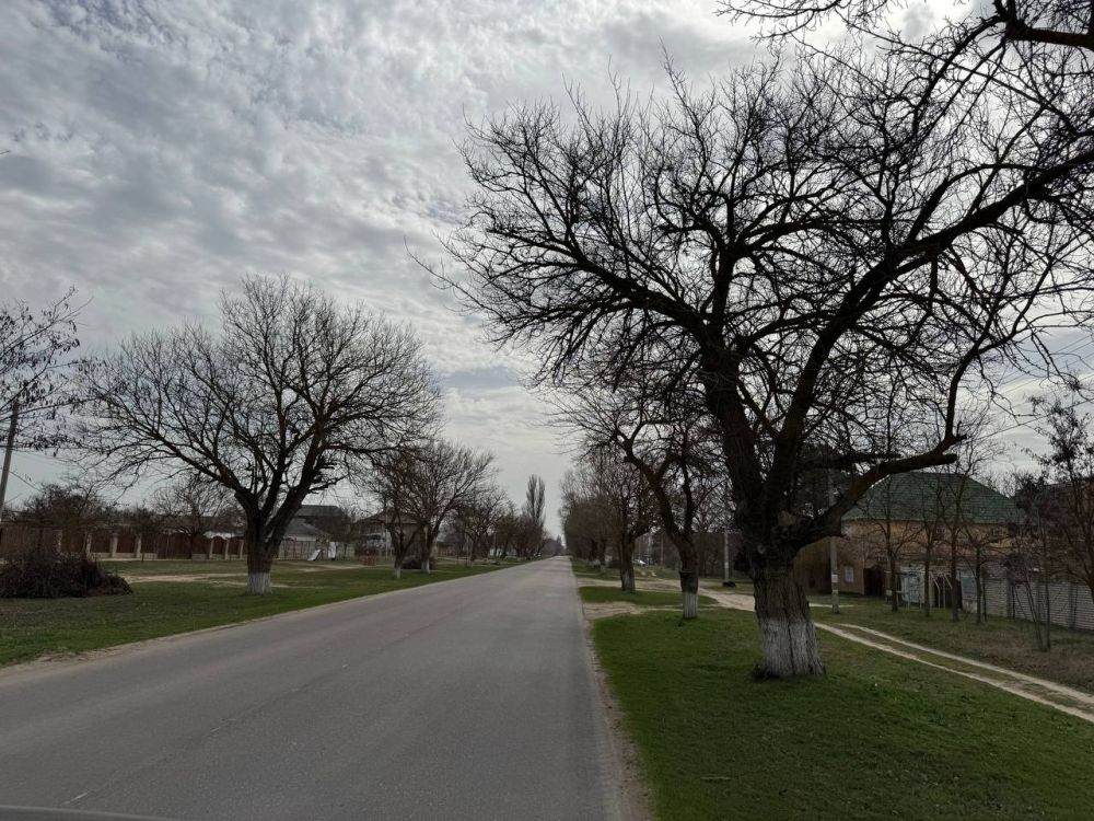 ***. �������, ��� � ������� ���� �����