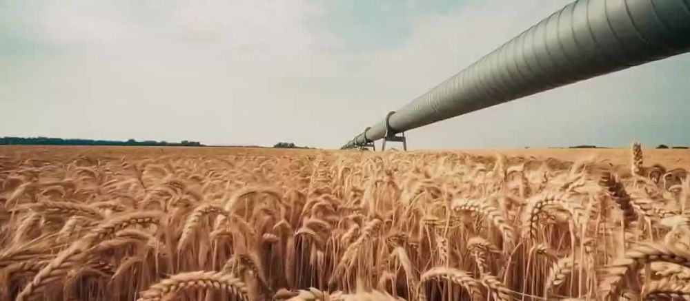 ���� �� �������