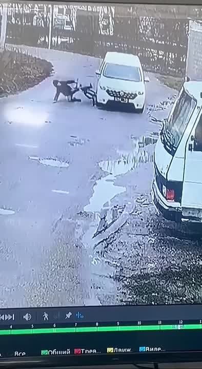 � �������� �������� ������� ������������ ���� ������������� � ������� ��� ��������������