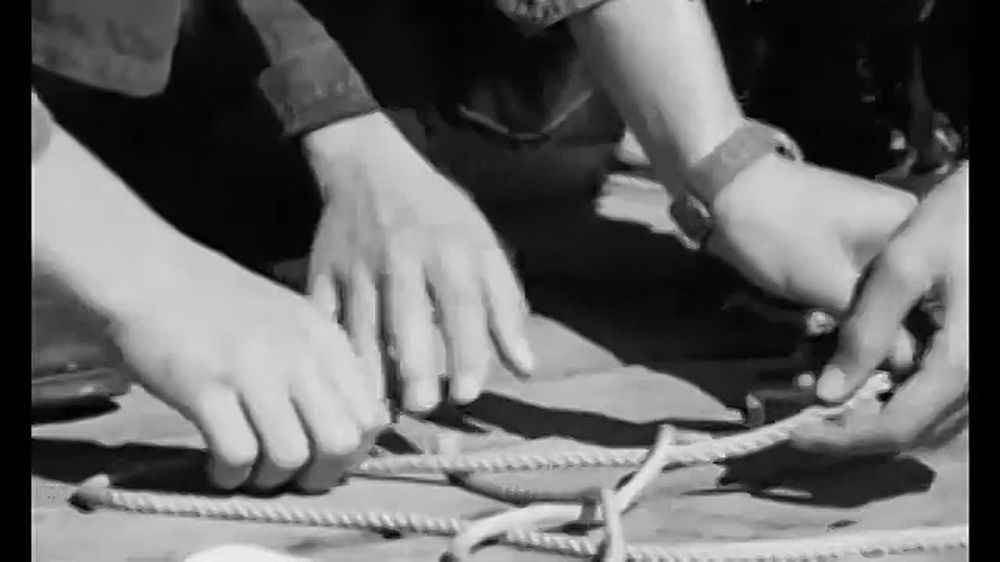 ��������� ������-����������, ������� ��������� ������������ � ���������������� ���������� � ���� ������-����������!