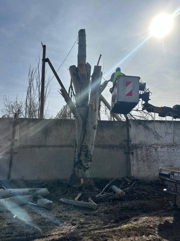 ��������� ������� �������������� ���� ���������� ���������������� ���������� � ���������� �������