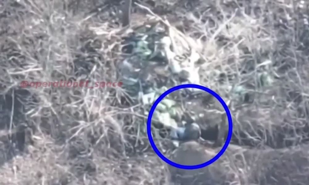 ������������ 1 �������� ����� ������� ������� ������� � ������ �������� ��� �� ��������� �����������