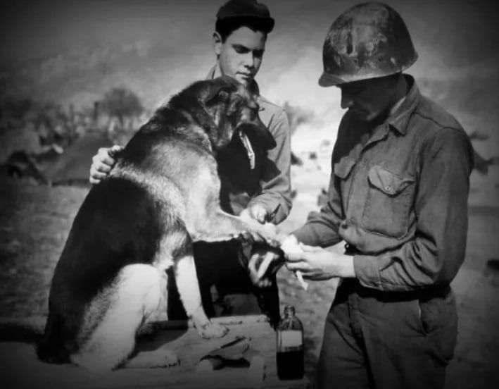 ��������� - ����� �������