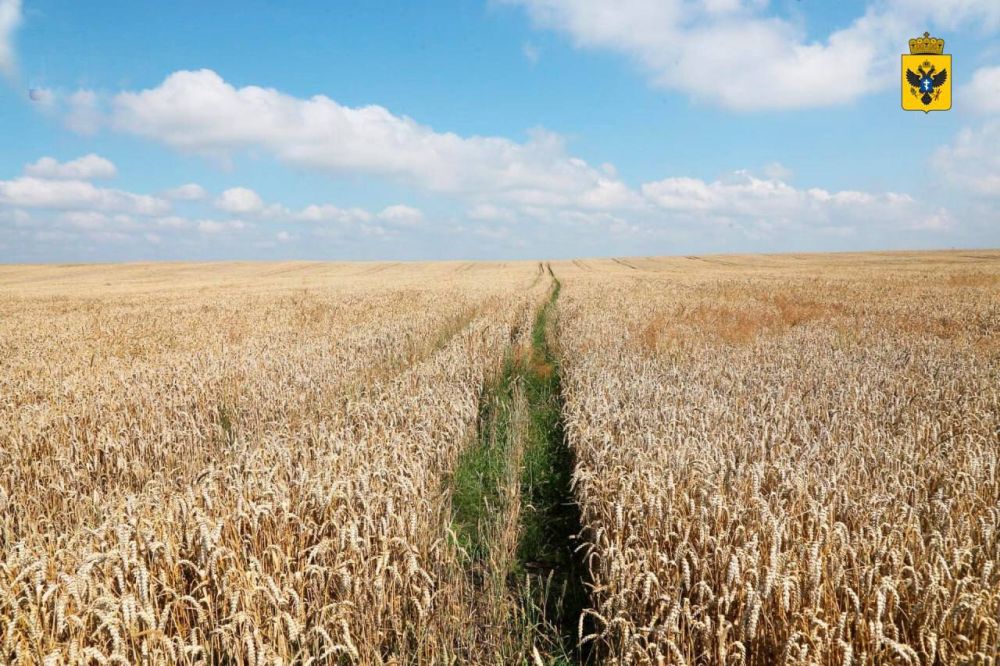 � ���������� ������� ������� ����� 65 ����� ��������