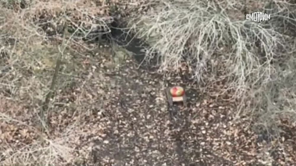 ���������� ������ �������� ����������� �������� ��� � ������� ��������� ������������ � ���������������� ������ �� ����������� �����������