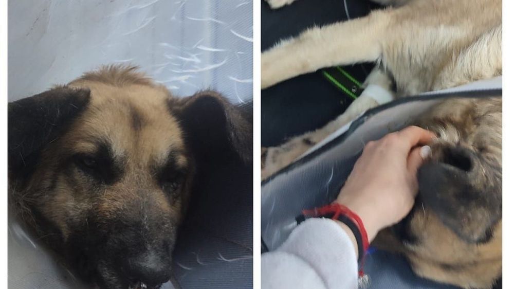 ������ ����!�: ��� ����������������� ������������ �� �������� ��������� �� ���������� �������