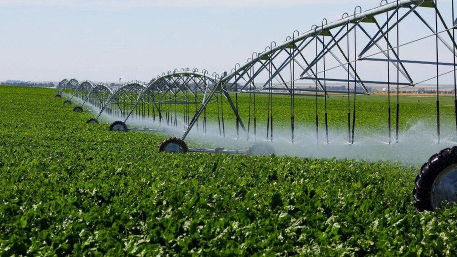 �� ��������� �������� ���������� ������� � ���� ���� �������� ����� 2 ���� ������