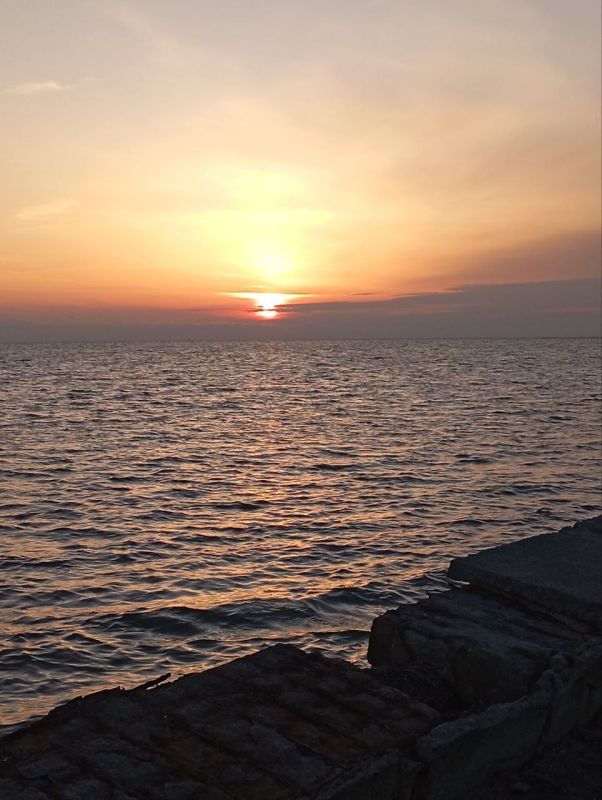 � ������ ������������ �������� �����, �������� ����������, ��������� � ���������