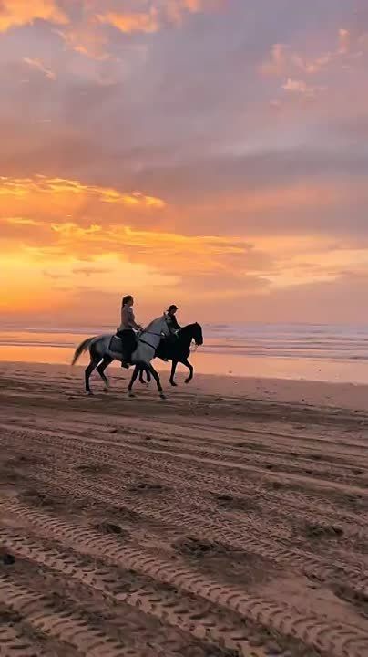 �� ������� �� ������� ���� ���������, ���� ��� �� ������ �������������