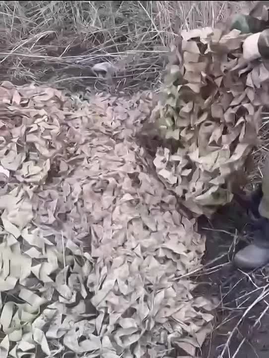 ������� �������� ��������