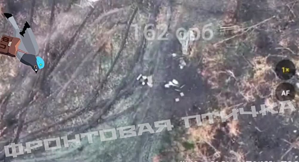 ���� �� �������: ���������� ��������� ������ ��, �������������� � ��� � �������� ���