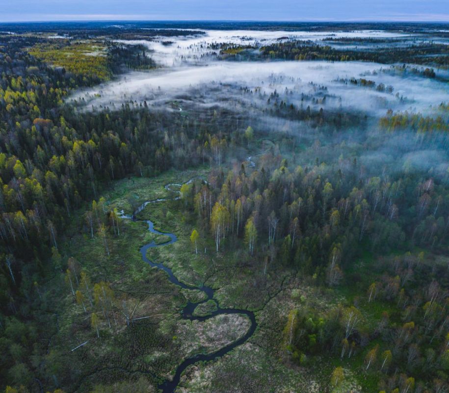 � �������� � ���������� ������� ��� �������