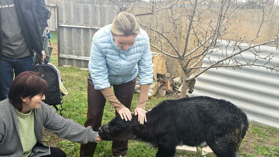 ������� ��������� ������ ��������� ����������� ����� ���������� ��� �� ���������� �������