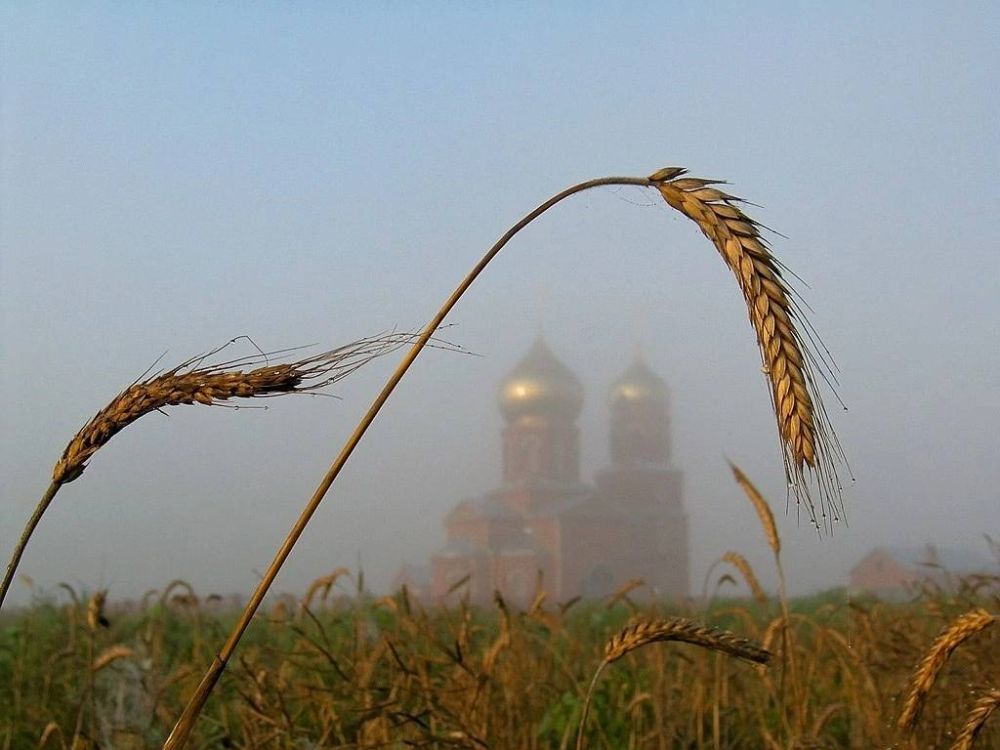 ����� ����. ���� � ����� ������ � ��� ���� ��������, ������� � �� ������� � ������, � ������� �� ������ ��� �� ������ ��������. �� ������, �� ������, �� ��������, ����������� �������, ��� ������ ���� ������� ��-����������....