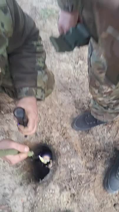 ���� �� �������: . ������������ �������� �� ������ ���������� ����� ����� ���� ������� �������������� � ��� �������