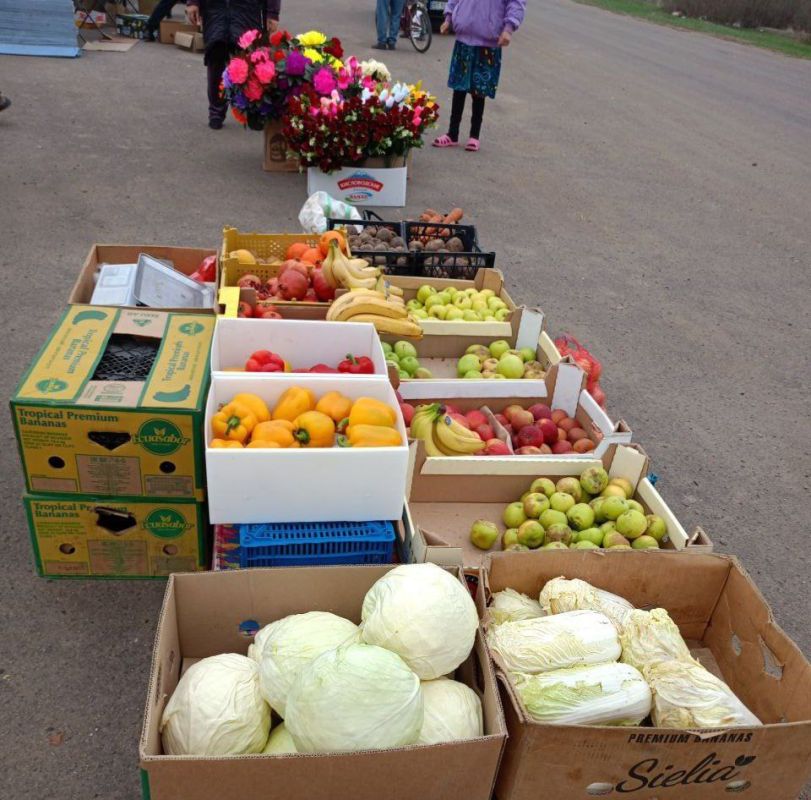 � ���������� ������� ����������� �������������� ������ ������ ������������ �������