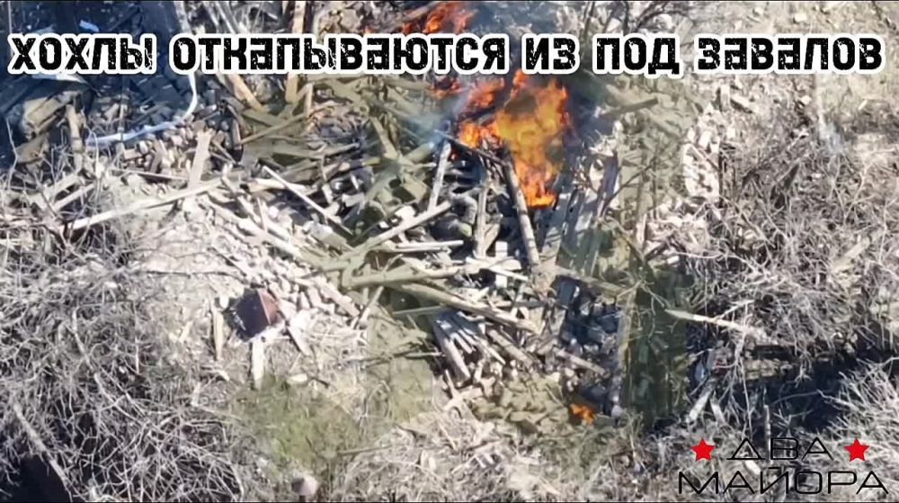 ���� �� �������: ���� ���� �� ����� ����������