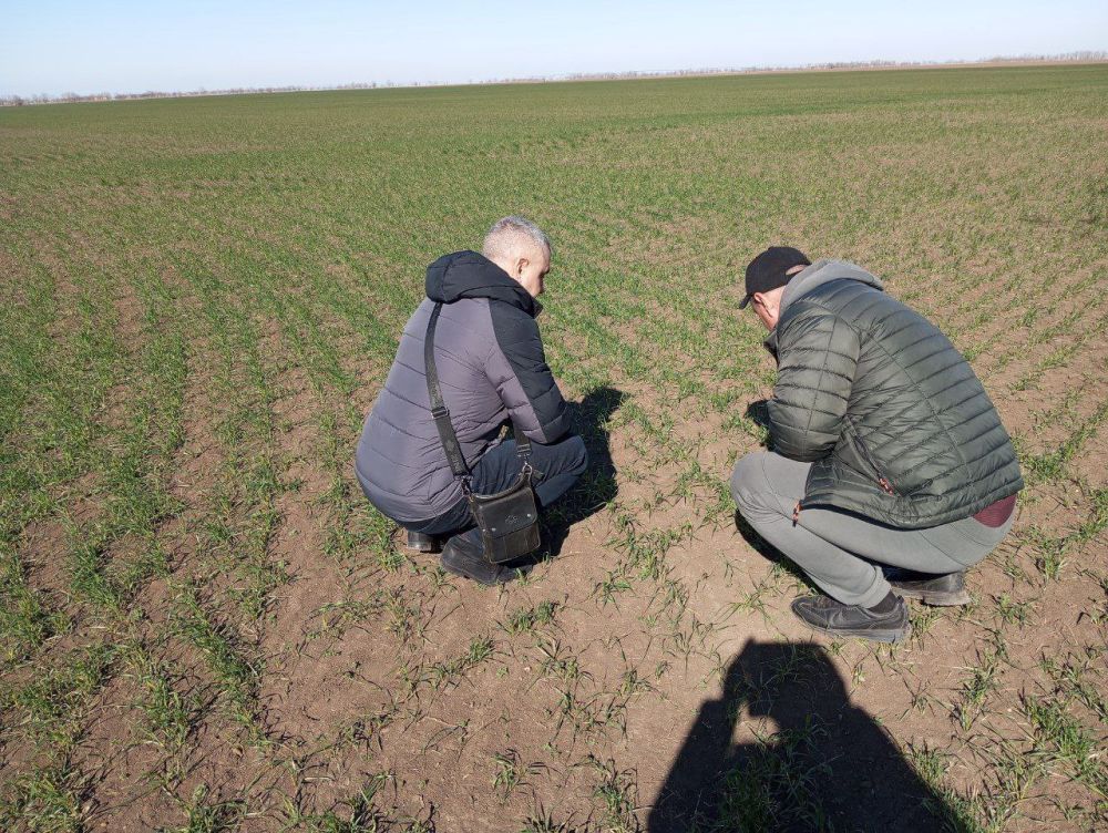 ���������� ������ ����������������� ��������� � ����������������� �������� �������� �������� ��������