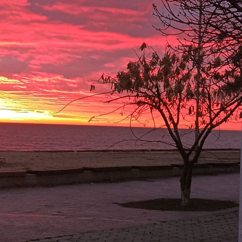 � ������ ������������ �������� �����, ��������� ����, ��������� � ������ ���������� ���������