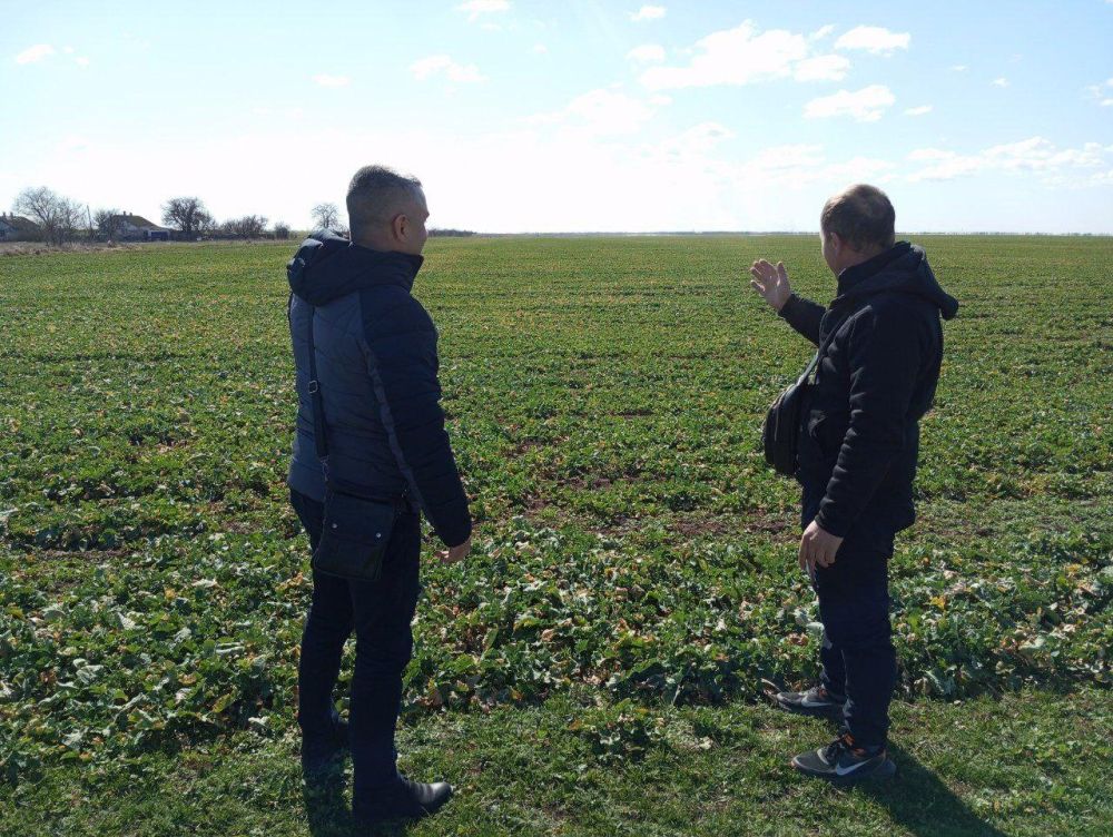 ���������� ������ ����������������� ��������� � ����������������� �������� �������� �������� ��������