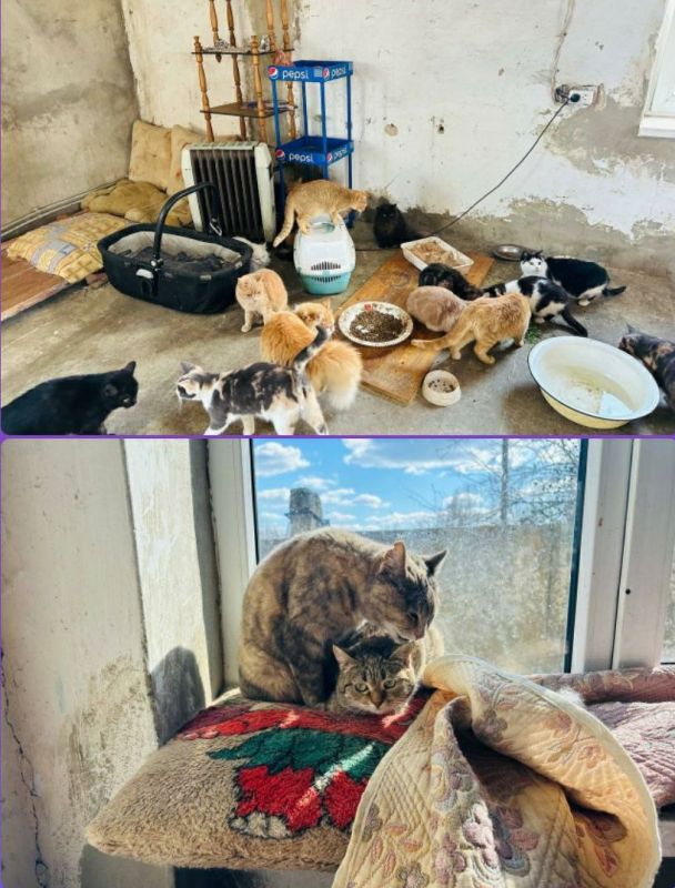 � ����� ��� �������� � ���� �������, ��� � ������������� ������, �������� �� �����������