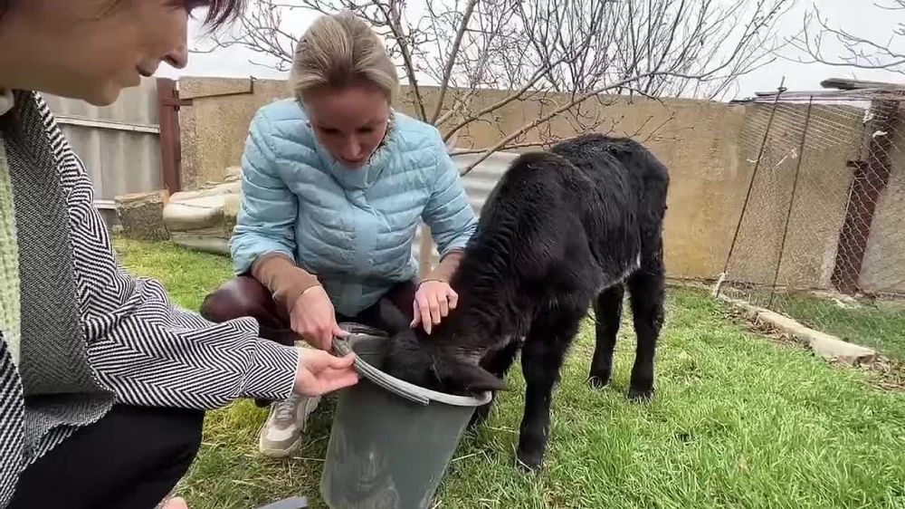 �� ���� ����� ������� � �����, ��������, � ���������� ����������������� ���� ������� ���������