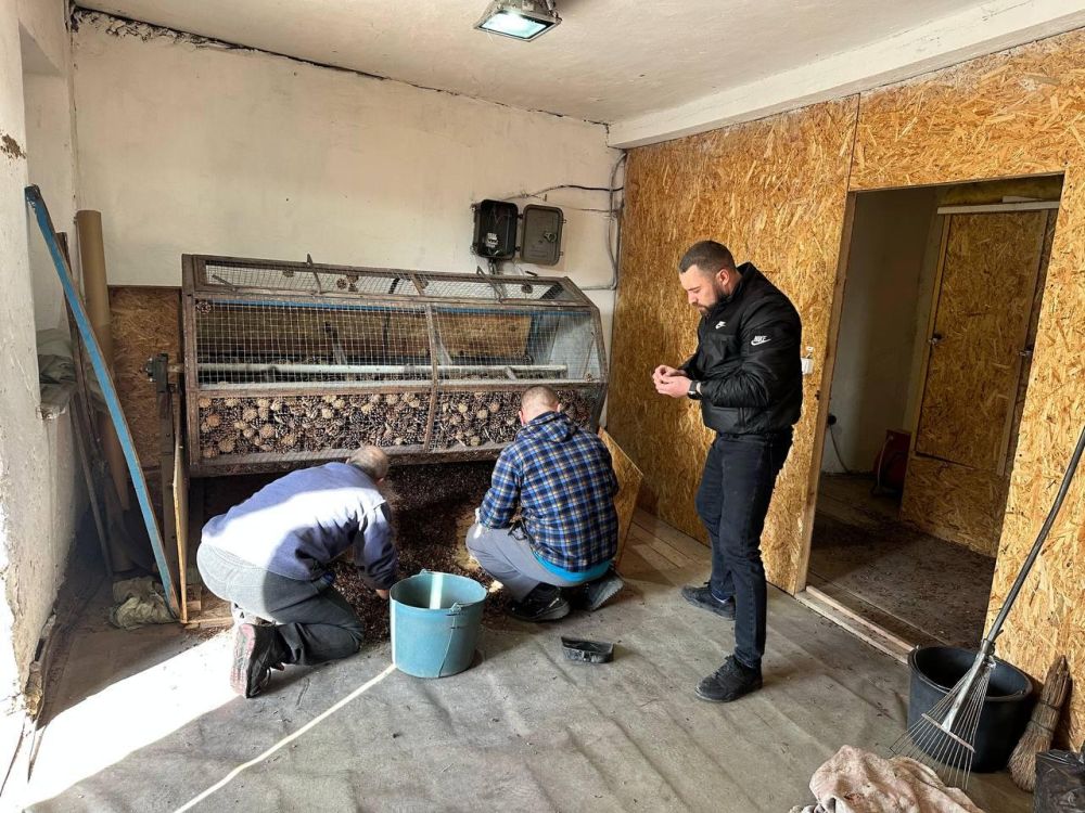 ��� �� "��������������� ������" ���������� �������������� ����� ����� ��� ��������� �����