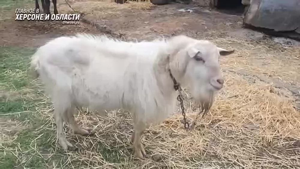 ������� ��������� ��� ���������� ��, ����� ������-������, ��������� ������� ������� � ���������� �������