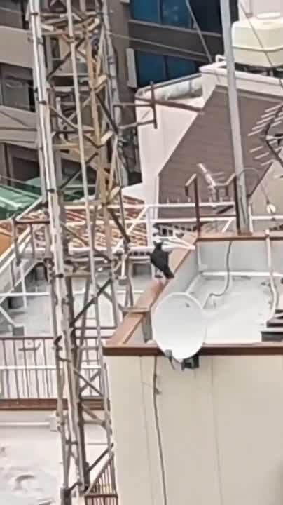 ����������, �� ���� ��������� ���� ������ ��� ������