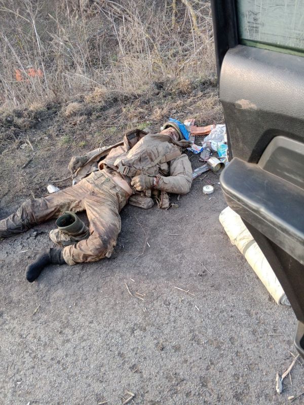 ������ �����������, ������ �������, ������ ������