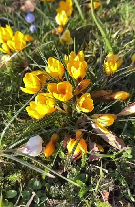 . ���������� ���� �� ��� ������ , ����� ���������� , ����� �� ���� ���������� . �������� ������� ��������� , ����