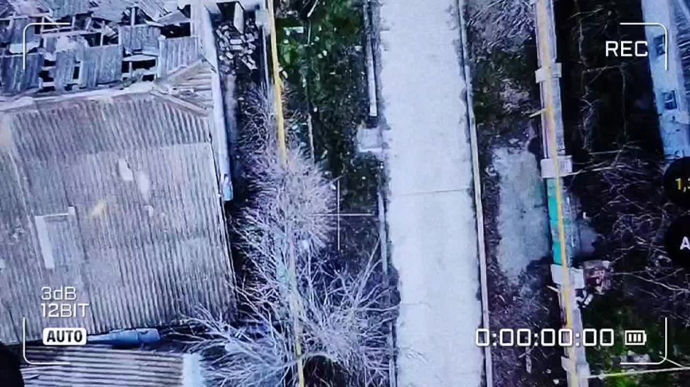 ���� �� �������: ������. ��������� ��