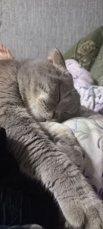 ����� ����������� ����� ����� ����� �� ����� � ����������, ��� ����� ����, ������� ������ ���� �� ����� ��������!