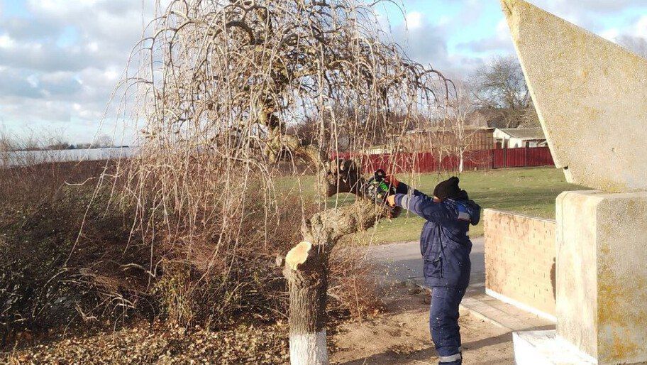 � ����������� ������ �������� ������ �� ���������� � �������������� ������