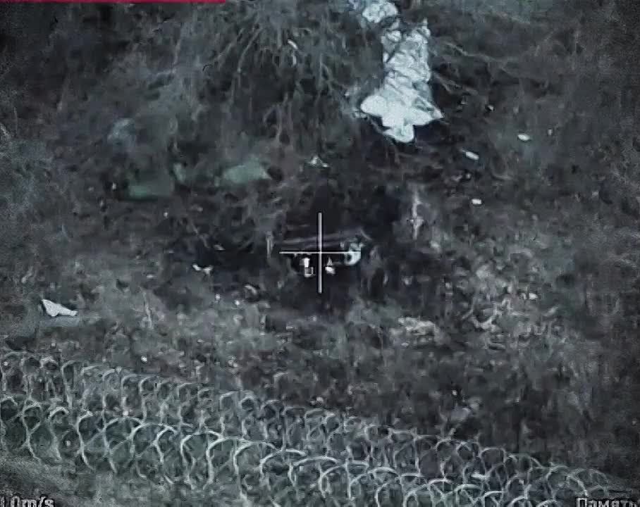 ���� �� �������: ����������� ������� ������� ���������� ������������� � ����������� �������