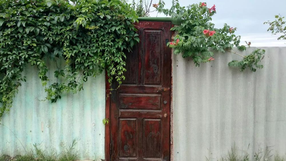 ��� � ����� ������� ��������� ����� � �����