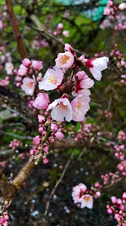 . �� ��������� ��� ����� , ������ ��������� � ���� . ����� ������ ��������� �������� , � ����� � ��������� � ���� �����