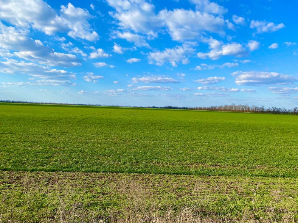 ������ ���� ����!. ����������� ��������� ����������! sd_kakhovka.khogov.ru