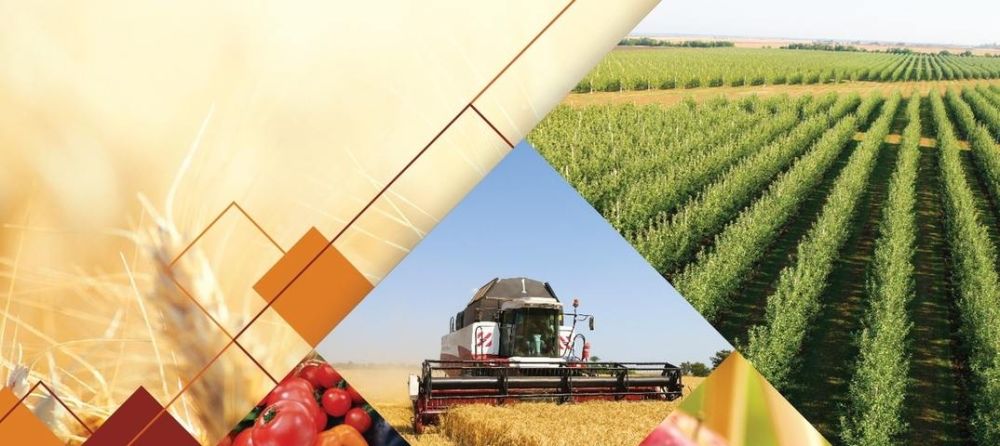 ����� ����������: ������������ ��������: ���������� ������� ������� ����� 2 ���� ������