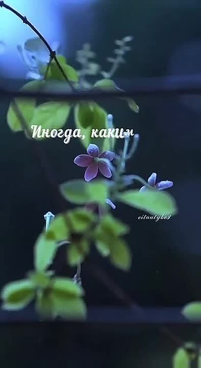 ���� ������� ������, ������! ���� ������ ����� ���� � �����, �������, �������� � ������������